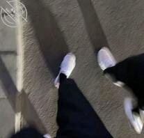 本人烟台想找姐姐阿姨玩不知道有没有☹️2