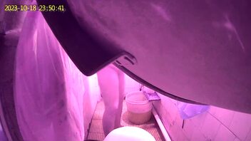 无毛肥逼熟女洗澡