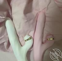 母狗光荣榜接龙1