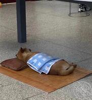 广西柳州找姐姐或者妈妈1