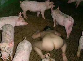 无下限绿母狗儿子2