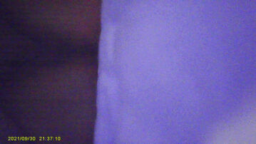 四平铁东人妻 ，太骚了