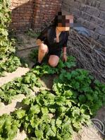 3【东北小嫂子】中秋节回老家看嫂子,趁着这个机会和她套套近乎,原来如此0