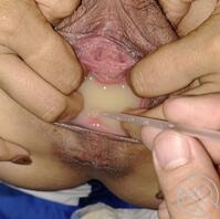 在妈妈逼喝养乐多2