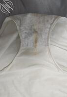 绿母同好交流，求经验分享2