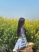 梦开始的地方，油菜花地五男二女的淫乱。2