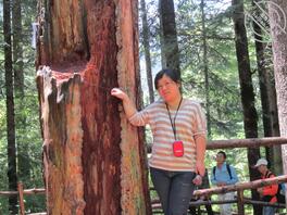 求哪位大佬帮我姐脱衣0