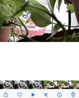 那晚强上小姨子后,这几天的忐忑,兄弟们给出个主意呗2