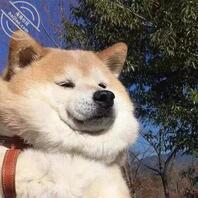 青岛青岛想找个干妈1