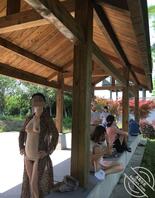 小姨妈又骚了，有要约的吗0