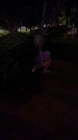 0551交换遛狗