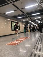 抄底粗腿母猪-棕色还是橙色内裤