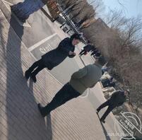 老头乐谈价