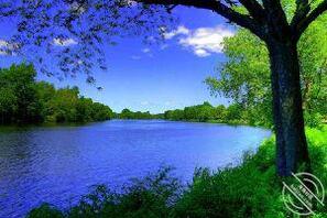 真实贡献妈妈的私聊，要真实的，嘴炮的勿扰，当误彼此的时间，真实的素联系，2