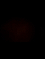 北京少妇分地两居