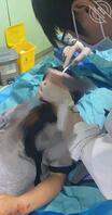 36 小弟磕着了,一起去医院1
