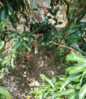 骚妻最近迷上露出1