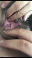 Mygirlpussy
