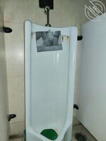 自己打印照片贴在男厕  拍完照用舌头清理便池2