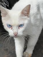 昆明男大国庆找姐姐2