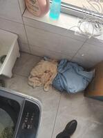 海角原创（8）终于在新家成功上垒嫂子，没想到是个白虎，淫水喷了一地2