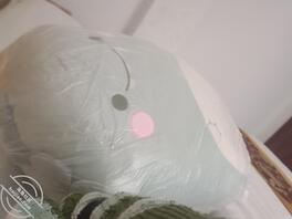 （百分之百真实乱伦）1