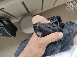 骚逼妈妈儿子找人一起干死你母狗