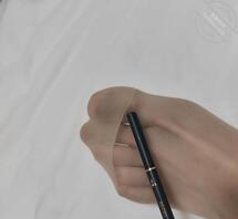 湖北大一小狗找主人网调1