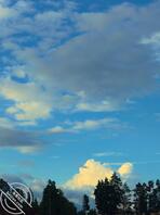 昆明官渡区寻找厕拍，偷拍大神，会跟拍胆子大的来上一个0