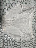 绿母儿贡献骚妈，求受精怀孕羞辱1