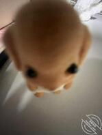 西安找姐姐 03年0