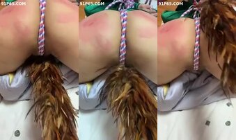 收商丘母狗或淫妻