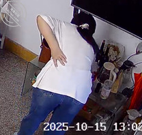 我的大屁股侄女1