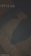 豪乳女主播半夜和别克车司机路边树林打野战这动作姿势不输av大片