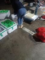 每次从后面看鸡儿梆硬