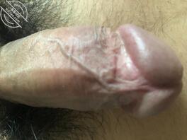 广州的姐姐在哪里?