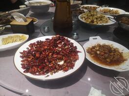 我是弟弟的女朋友，公开露面0