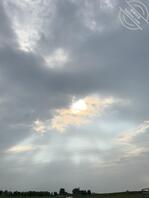 石家庄长安区，裕华区，高新区！寻单女或者夫妻！或者绿奴夫妻！0