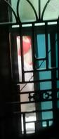 新年邻居红红2