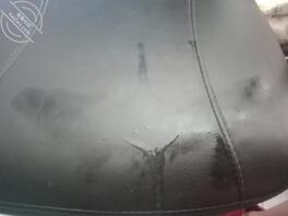 网上加的妹子 特别开放0