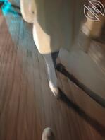 (原创)晚上约嫂子出来公园散步,没人的地方嫂子给我口交1