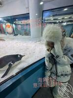 【原创内容129】跨年带妹妹来海洋世界啦