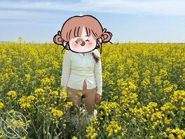 油菜花户外露出