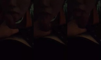 悉尼炮友