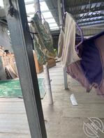 有没有郭店的朋友喜欢玩内裤的