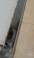 骚货