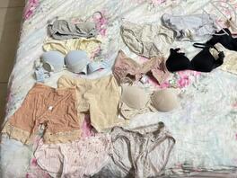 表姐的骚内衣内裤0