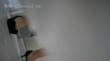 转载厕拍69