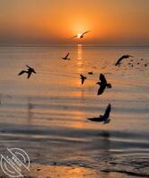 哪位哥们知道，夏邑妇幼附近的那几个老熟女搬哪去了？想找她们干一下2