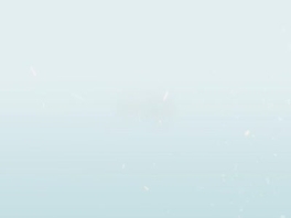 纯熟的口活